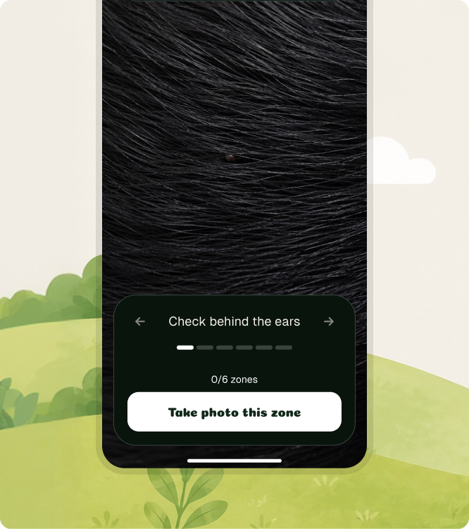 TickSafe app — open the camera to start zone-by-zone check